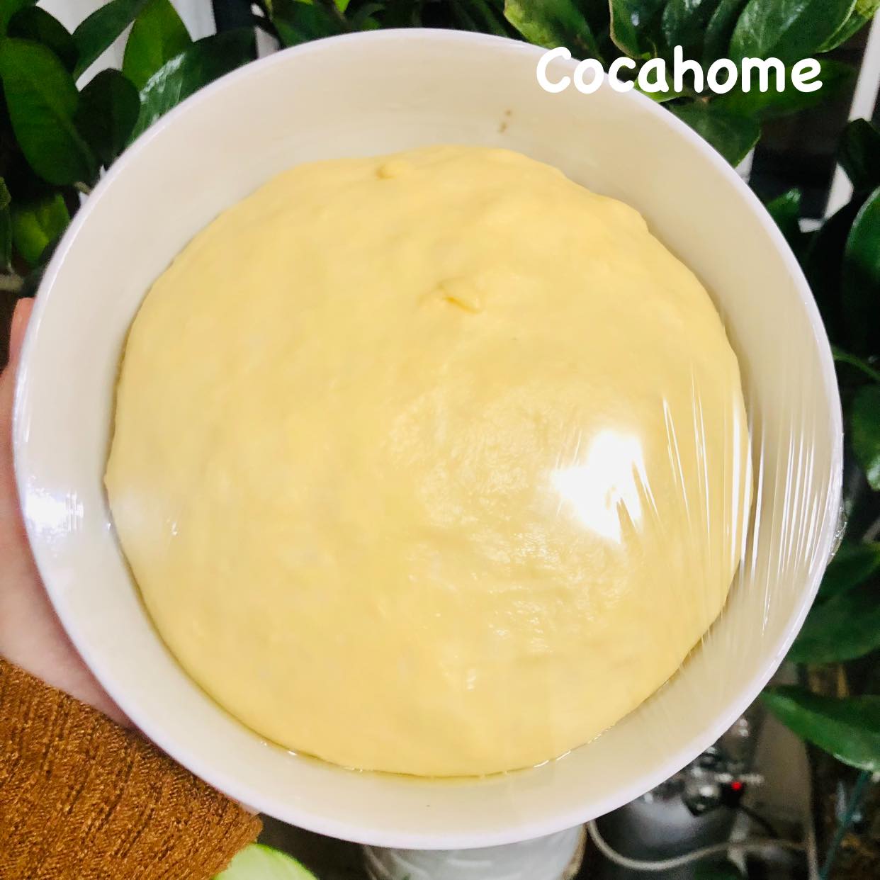 Mách bạn cách làm bánh mì nho quế mềm mịn thơm lừng - Ảnh 4. Mách bạn cách làm bánh mì nho quế mềm mịn thơm lừng - Ảnh 4.