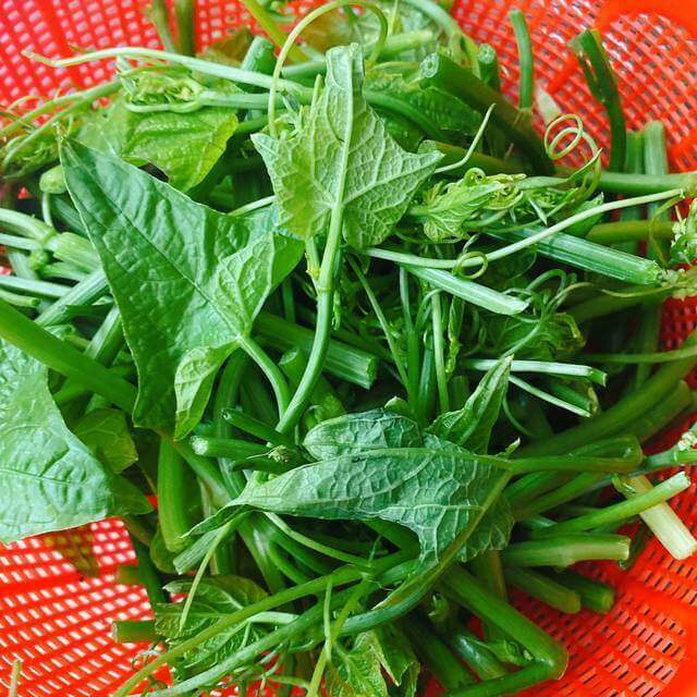 Loại rau có nguồn dinh dưỡng như thịt đỏ, phù hợp với người ăn chay - Ảnh 2.