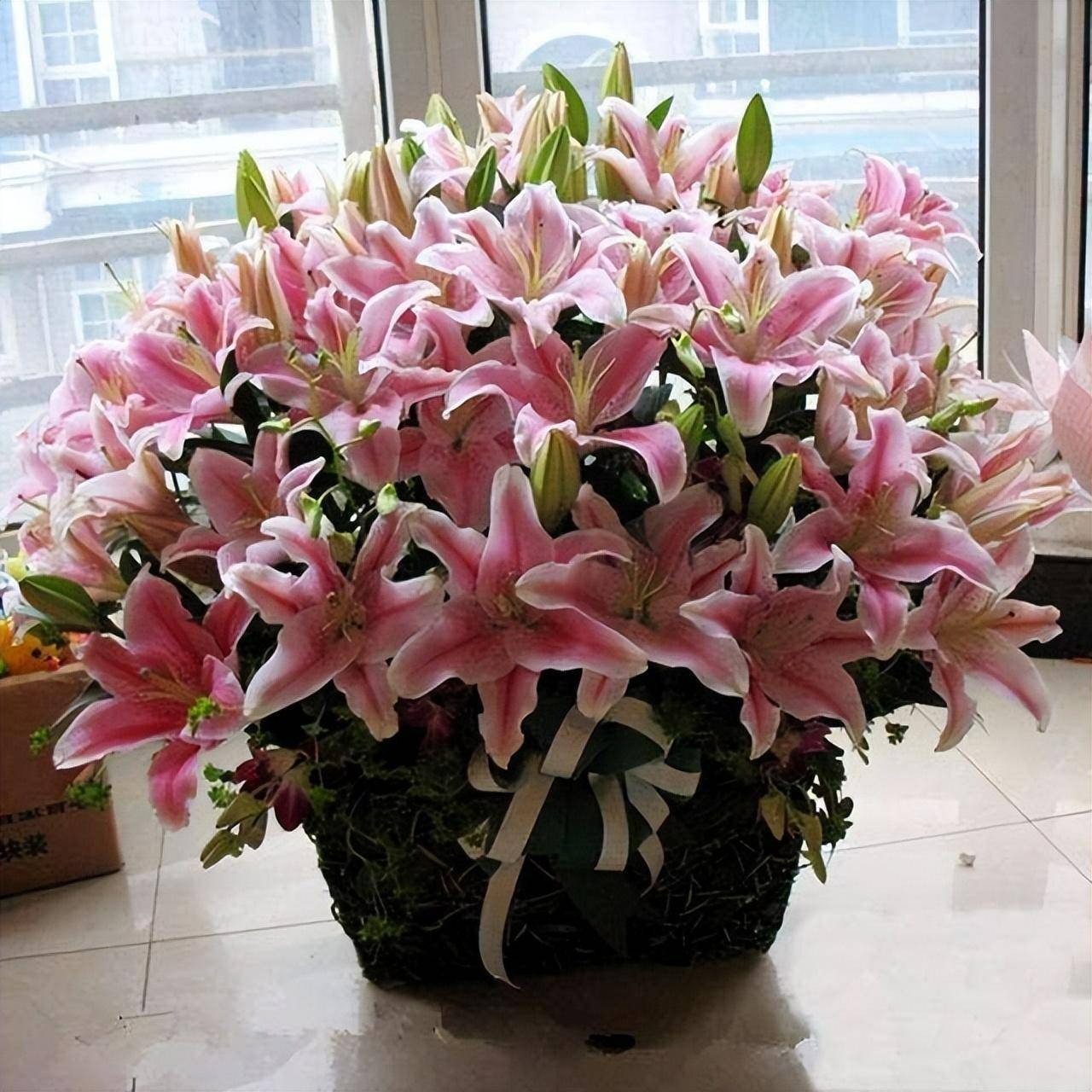 Người xưa dặn: "Phòng ngủ không trồng 7 loại cây cảnh, đầu giường không treo gương" - Ảnh 4.
