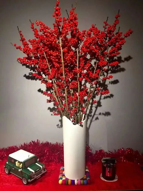 Năm mới sắp đến, trồng ngay 3 cây cảnh "phát lộc" này trong phòng khách, con cháu giàu sang mãi - Ảnh 4.