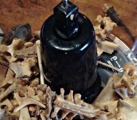 Để cây cảnh ra hoa rực rỡ, không cần mua phân bón, kiếm trong bếp là đủ "đạm, lân, kali" - Ảnh 4.