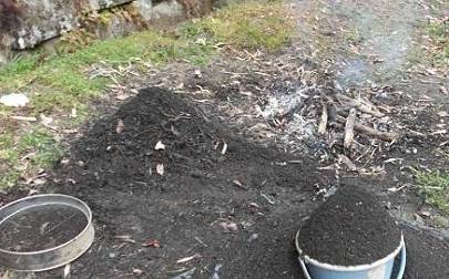 Để cây cảnh ra hoa rực rỡ, không cần mua phân bón, kiếm trong bếp là đủ "đạm, lân, kali" - Ảnh 6.