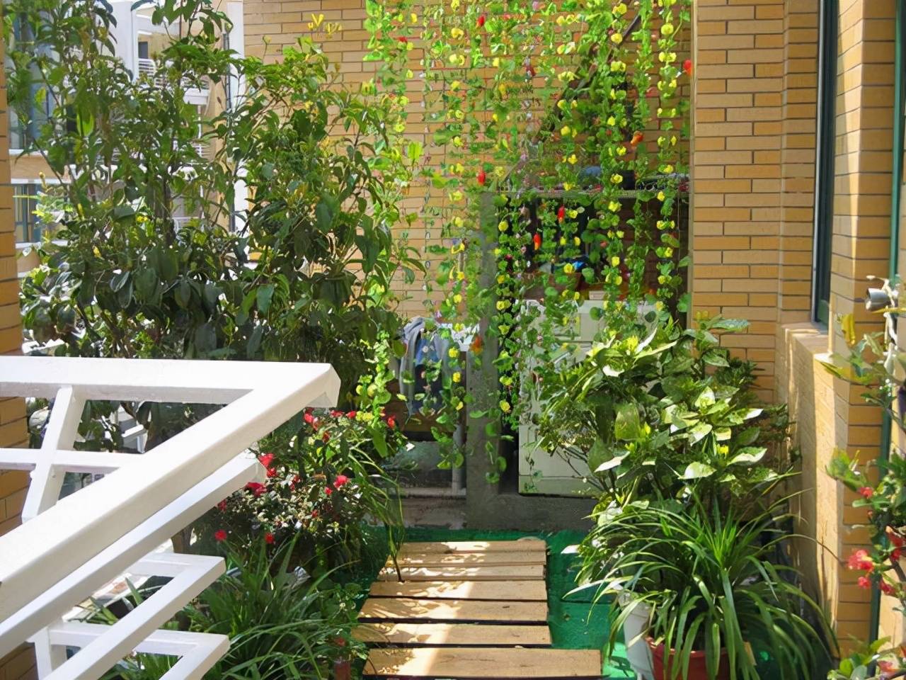 Chậu cây cảnh xuất hiện 6 điều này cần phải "cấp cứu" ngay - Ảnh 1. Chậu cây cảnh xuất hiện 6 điều này cần phải "cấp cứu" ngay - Ảnh 1.