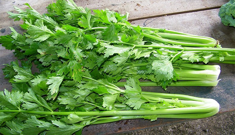 Cây cảnh vàng lá, ít hoa hãy tưới "thần dược" này đảm bảo cây tốt bời bời lại không tốn tiền - Ảnh 2. Cây cảnh vàng lá, ít hoa hãy tưới "thần dược" này đảm bảo cây tốt bời bời lại không tốn tiền - Ảnh 2.