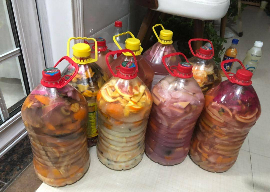 Cứu cây cảnh khỏi vàng lá, thối rễ bằng việc... cắm 1 chiếc đũa - Ảnh 4.