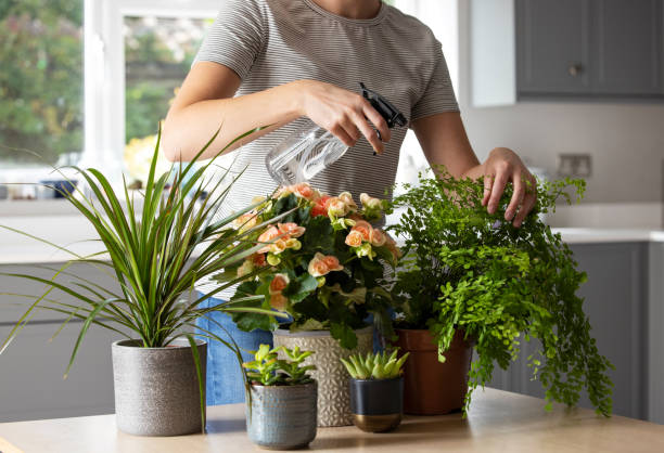 4 cách "đảo đất" chậu cây cảnh để đất mềm xốp như bánh mì, bổ dưỡng cho cây - Ảnh 3.