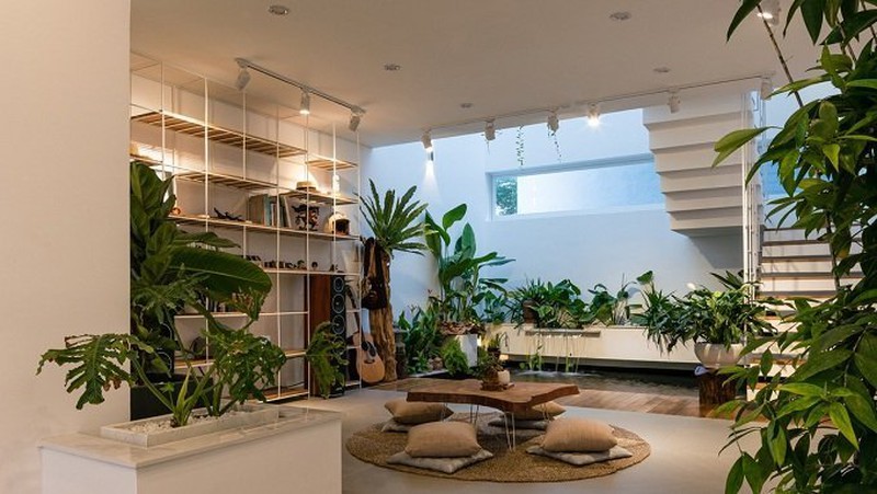 Lối vào nhà xuất hiện 3 vật cực phẩm: Gia chủ may mắn liên tiếp - Ảnh 2. Lối vào nhà xuất hiện 3 vật cực phẩm: Gia chủ may mắn liên tiếp - Ảnh 2.