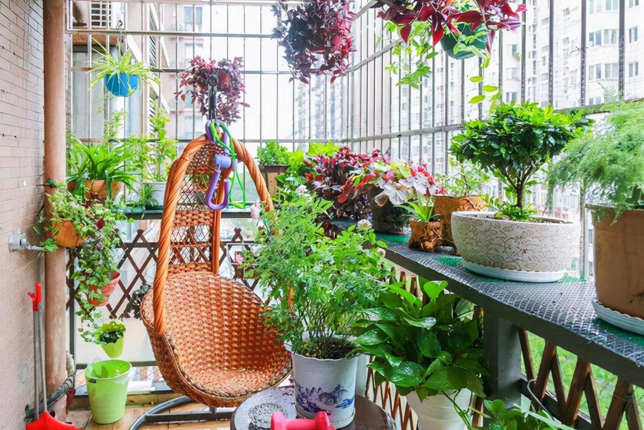 3 "bảo vật" xưa cũ, vô giá của người trồng cây cảnh, nuôi cây xanh tốt lại có lợi cho sức khỏe - Ảnh 10. 3 "bảo vật" xưa cũ, vô giá của người trồng cây cảnh, nuôi cây xanh tốt lại có lợi cho sức khỏe - Ảnh 10.