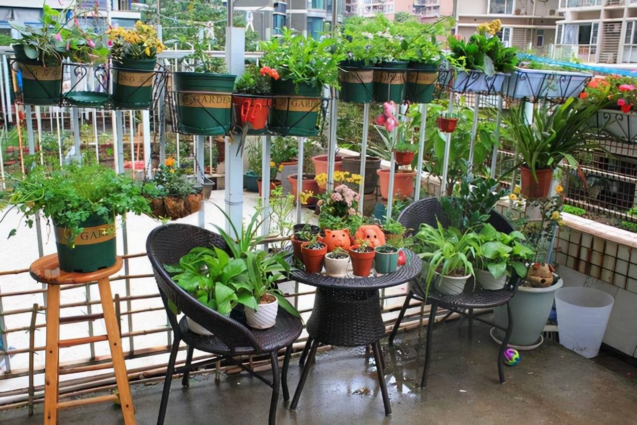 3 cây cảnh thích "ăn" sắt nhất, hiểu được thú vui này để chăm cây xanh mướt - Ảnh 1.