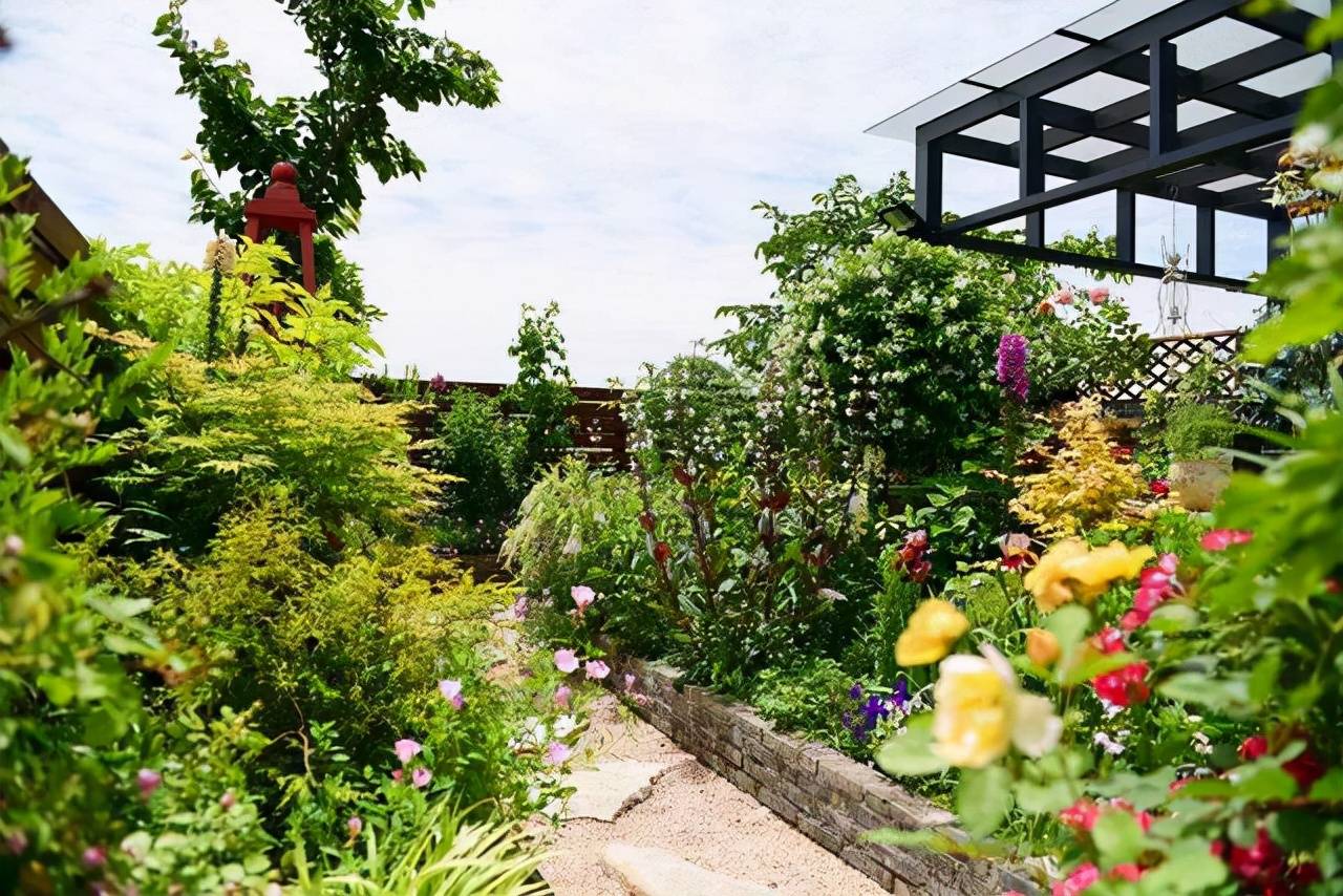 Trồng cây cảnh trên sân thượng hãy chọn 6 "nhà máy sản xuất hoa" không sợ nắng này - Ảnh 12.