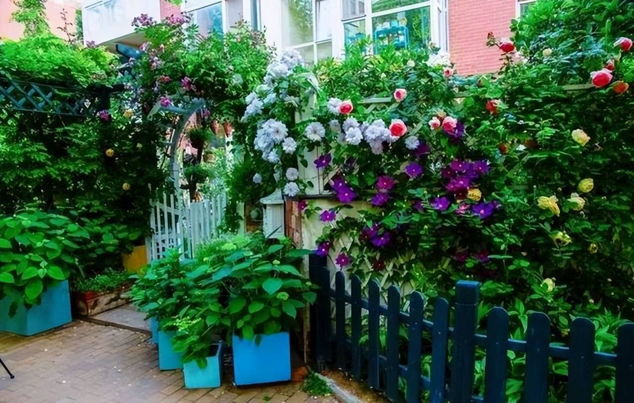 Để trồng cây cảnh, tôi mua nhà có vườn, 10 năm sau tôi biến cuộc sống thành một bài thơ - Ảnh 10.
