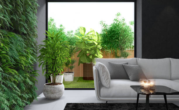 5 loại cây cảnh phòng khách, giảm bụi, chắn tiếng ồn, tăng độ ẩm, càng sống càng khỏe mạnh - Ảnh 6. 5 loại cây cảnh phòng khách, giảm bụi, chắn tiếng ồn, tăng độ ẩm, càng sống càng khỏe mạnh - Ảnh 6.