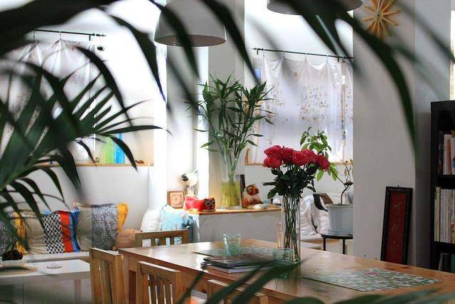 5 sai lầm khi đặt cây cảnh ở phòng khách, không xui xẻo cũng gặp chuyện cười ra nước mắt - Ảnh 10. 5 sai lầm khi đặt cây cảnh ở phòng khách, không xui xẻo cũng gặp chuyện cười ra nước mắt - Ảnh 10.