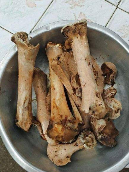 Vứt 3 loại rác này vào chậu cây cảnh, giúp đất thoáng khí, thấm nước, hoa nào cũng tốt bừng bừng - Ảnh 4. Vứt 3 loại rác này vào chậu cây cảnh, giúp đất thoáng khí, thấm nước, hoa nào cũng tốt bừng bừng - Ảnh 4.