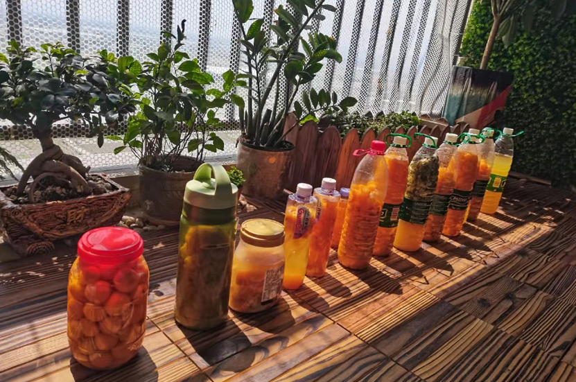 Tưới cho cây cảnh 2 loại "thần dược" tự chế này, cây nào lá cũng xanh đen, bóng loáng - Ảnh 4. Tưới cho cây cảnh 2 loại "thần dược" tự chế này, cây nào lá cũng xanh đen, bóng loáng - Ảnh 4.