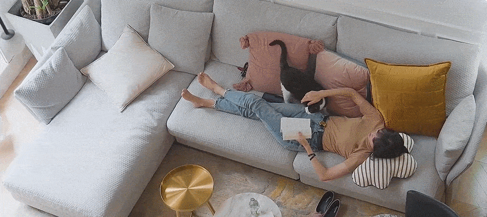 2 con mèo, 100 cây cảnh, cô gái này đã tạo cho mình một cuộc sống đáng ghen tỵ - Ảnh 2.