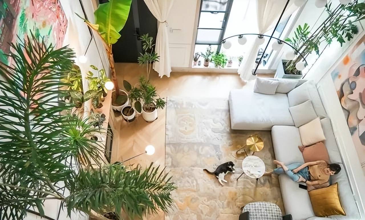 2 con mèo, 100 cây cảnh, cô gái này đã tạo cho mình một cuộc sống đáng ghen tỵ - Ảnh 1.