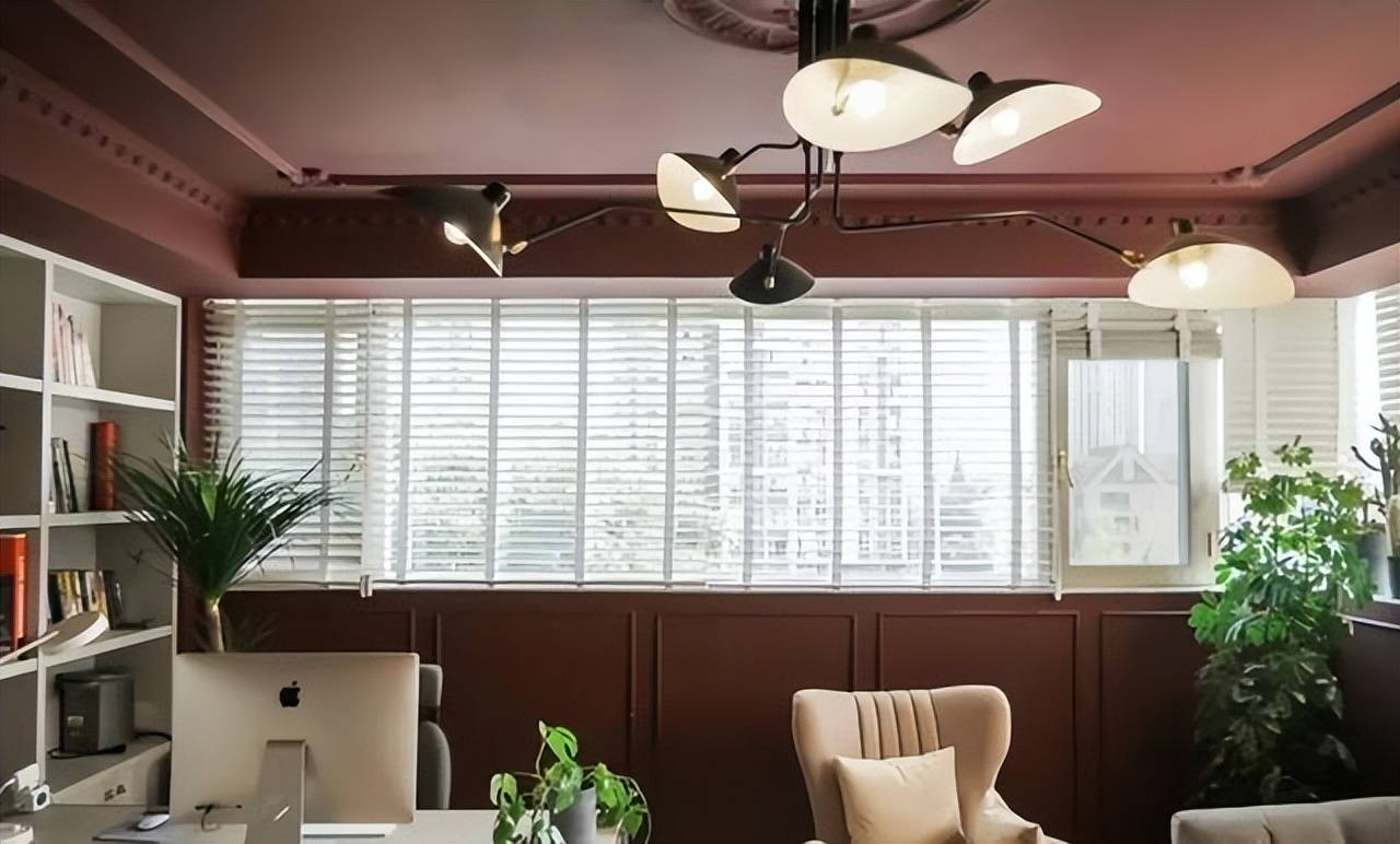 2 con mèo, 100 cây cảnh, cô gái này đã tạo cho mình một cuộc sống đáng ghen tỵ - Ảnh 14.