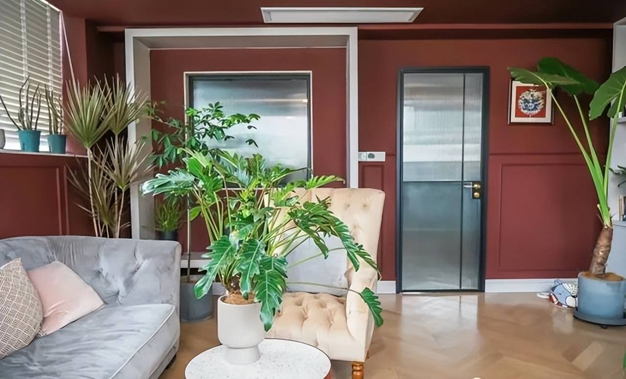 2 con mèo, 100 cây cảnh, cô gái này đã tạo cho mình một cuộc sống đáng ghen tỵ - Ảnh 15.