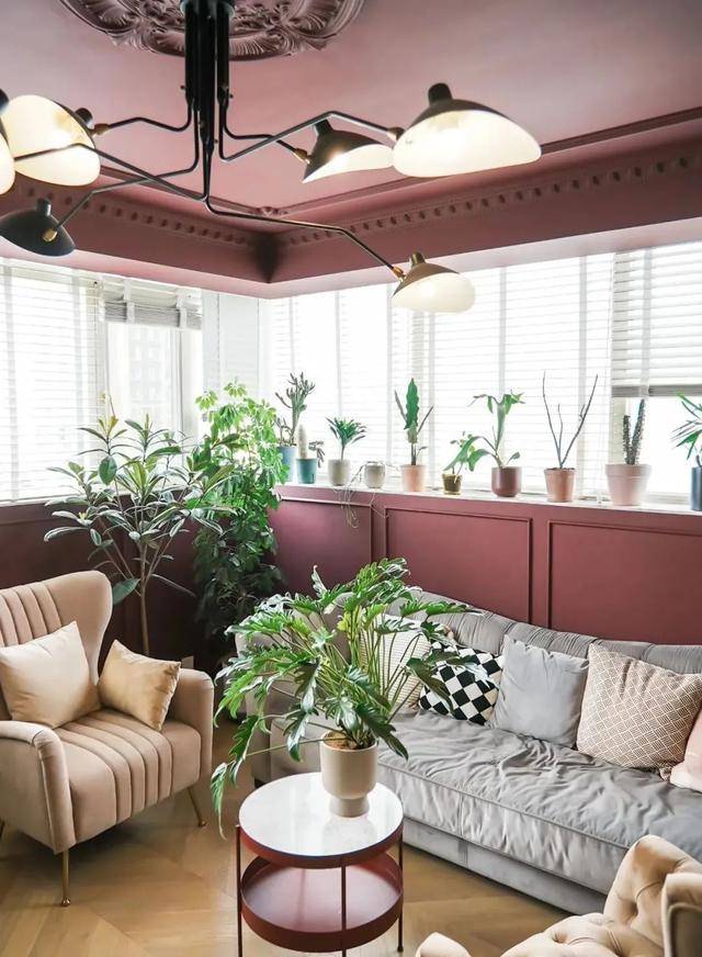 2 con mèo, 100 cây cảnh, cô gái này đã tạo cho mình một cuộc sống đáng ghen tỵ - Ảnh 16.