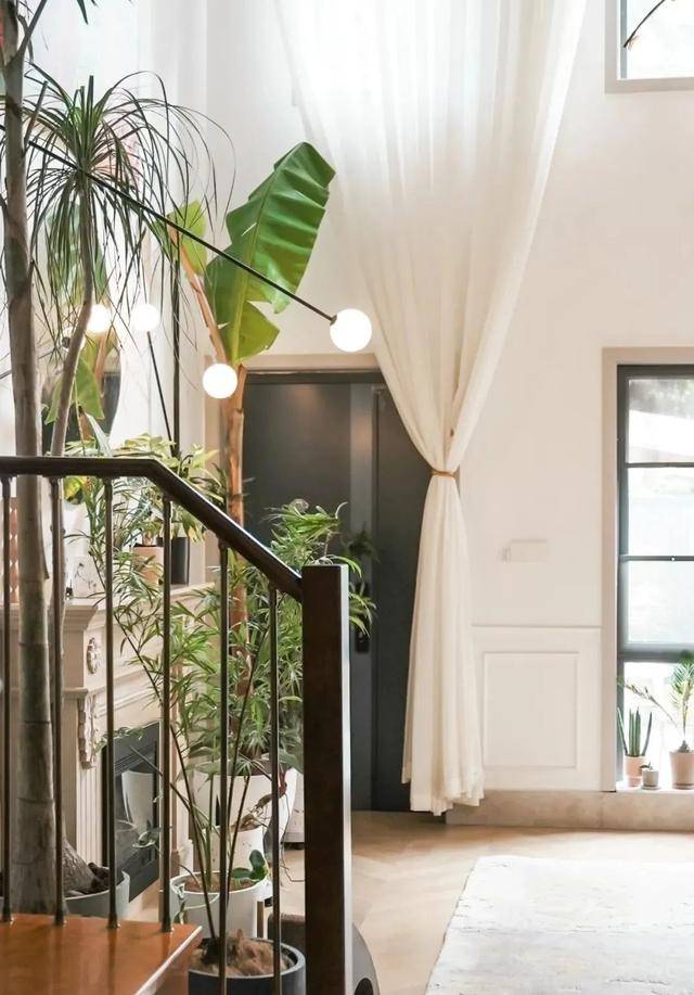 2 con mèo, 100 cây cảnh, cô gái này đã tạo cho mình một cuộc sống đáng ghen tỵ - Ảnh 3.