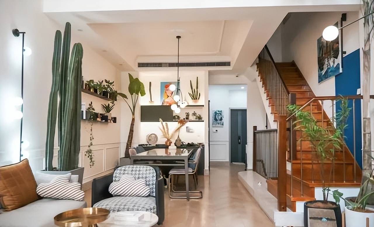 2 con mèo, 100 cây cảnh, cô gái này đã tạo cho mình một cuộc sống đáng ghen tỵ - Ảnh 5.