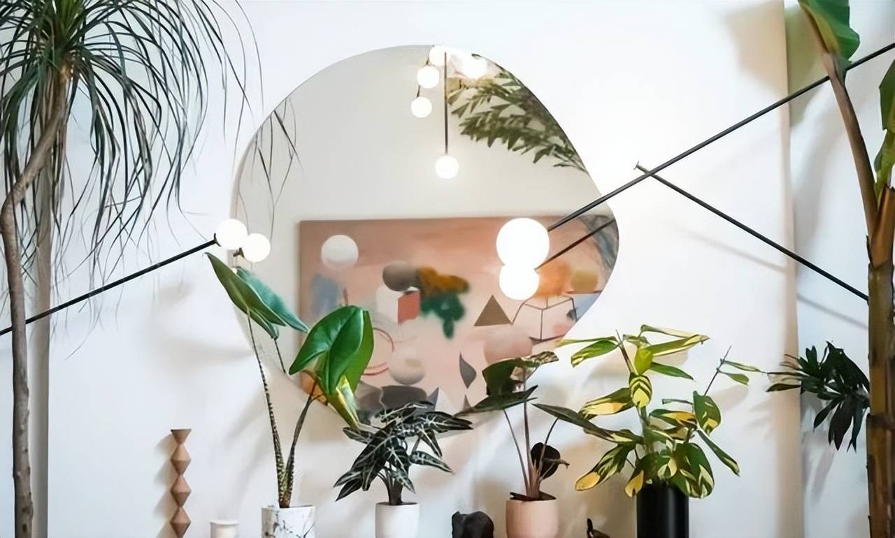 2 con mèo, 100 cây cảnh, cô gái này đã tạo cho mình một cuộc sống đáng ghen tỵ - Ảnh 7.