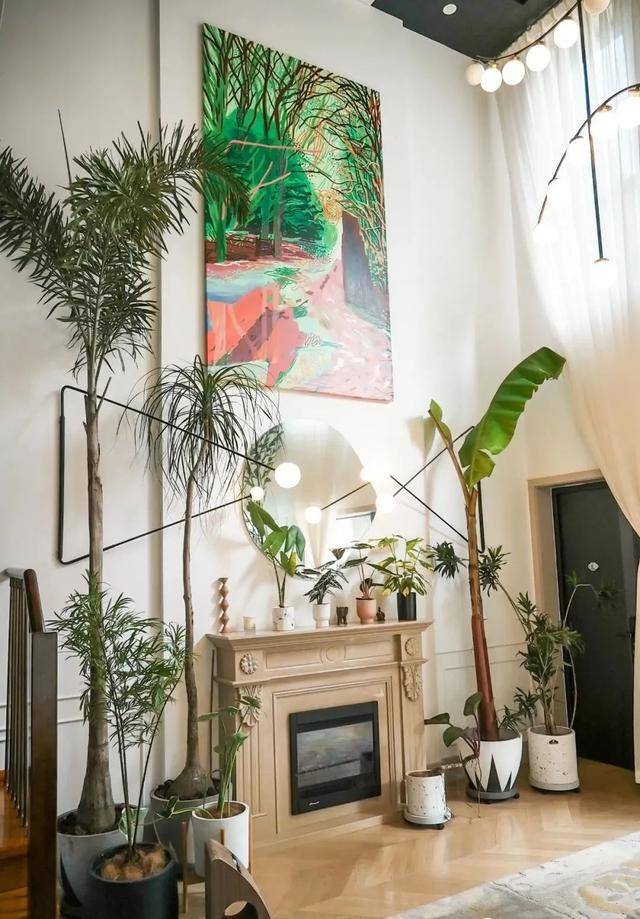 2 con mèo, 100 cây cảnh, cô gái này đã tạo cho mình một cuộc sống đáng ghen tỵ - Ảnh 8.