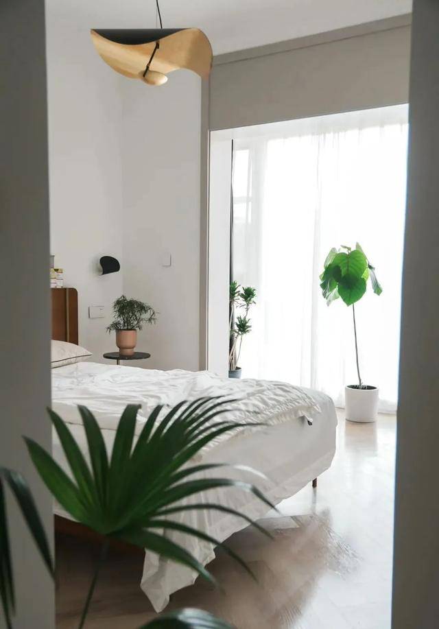 2 con mèo, 100 cây cảnh, cô gái này đã tạo cho mình một cuộc sống đáng ghen tỵ - Ảnh 12.