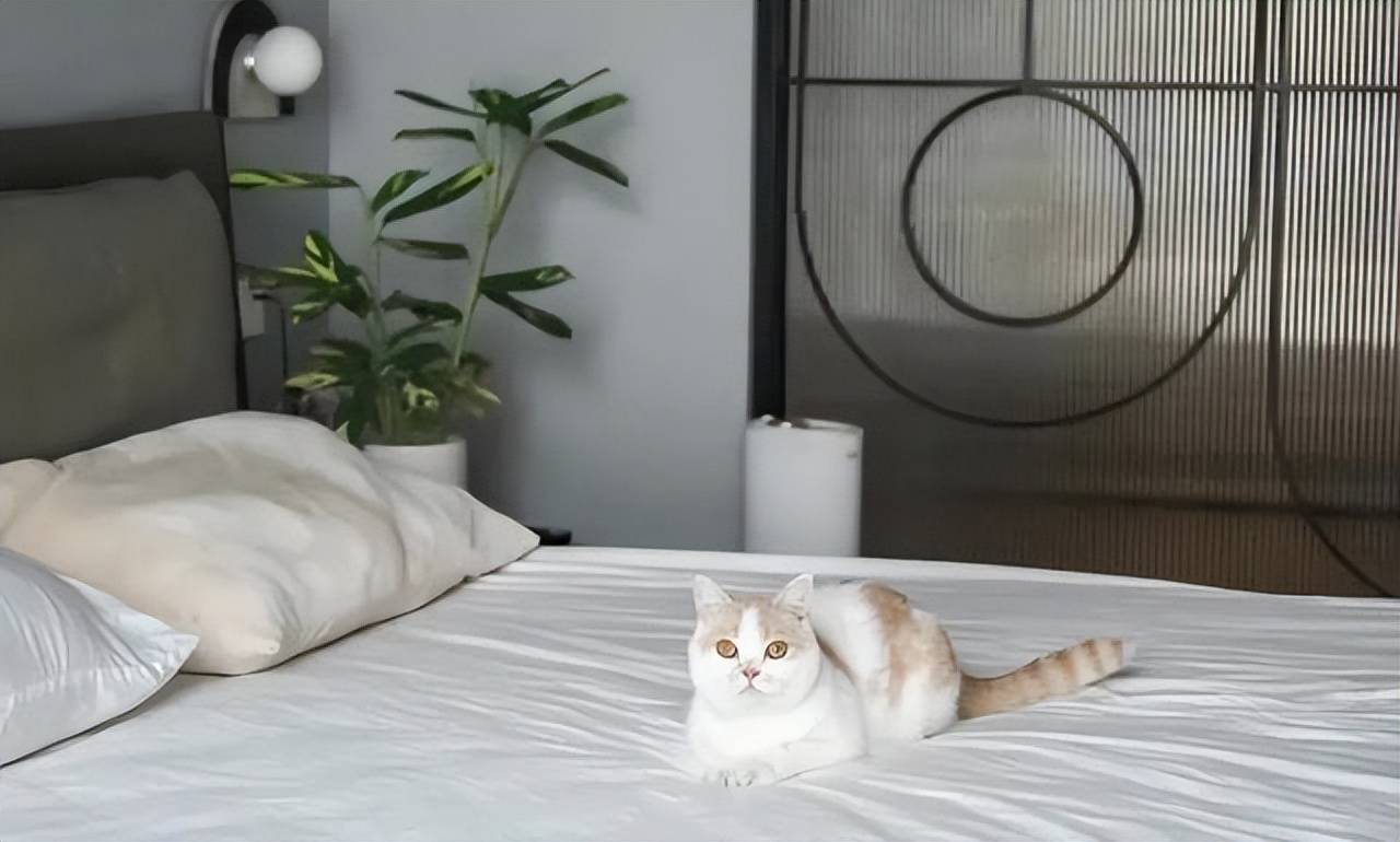 2 con mèo, 100 cây cảnh, cô gái này đã tạo cho mình một cuộc sống đáng ghen tỵ - Ảnh 14.