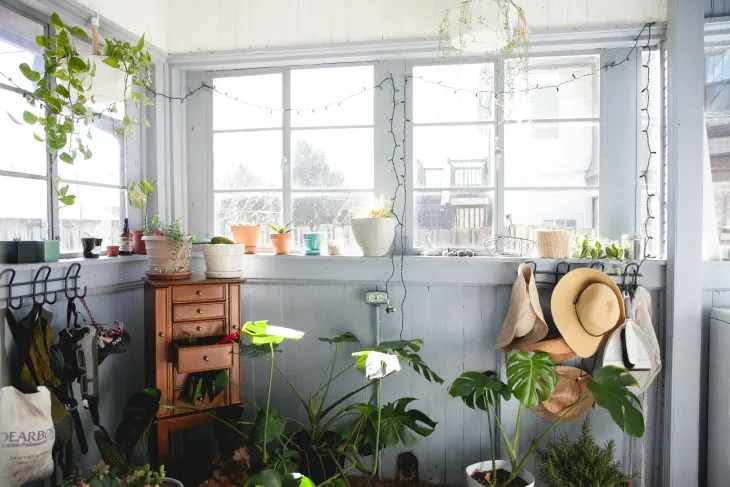 Ý tưởng trồng cây cảnh độc đáo, mang khu vườn đẹp như mơ vào trong nhà bạn - Ảnh 12.