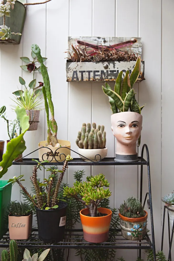 Ý tưởng trồng cây cảnh độc đáo, mang khu vườn đẹp như mơ vào trong nhà bạn - Ảnh 4.