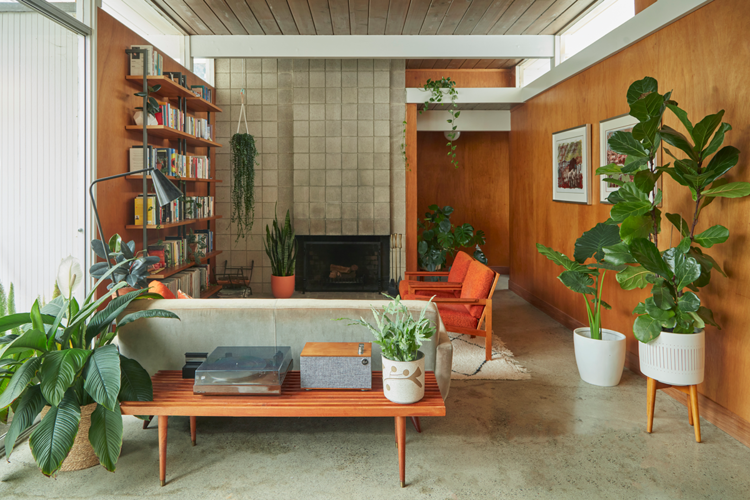 Vị trí đặt cây cảnh phong thủy mới nhất năm 2022, hút may mắn, chiêu tài lộc - Ảnh 3. Vị trí đặt cây cảnh phong thủy mới nhất năm 2022, hút may mắn, chiêu tài lộc - Ảnh 3.