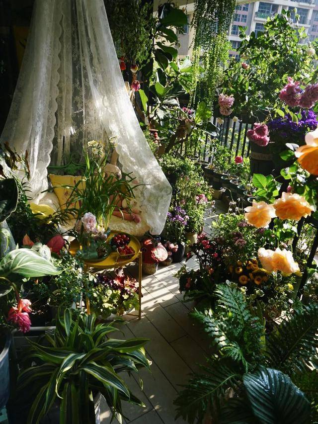 Dành 5 tháng trồng 250 chậu cây cảnh, cô gái tạo cho mình thiên đường trên ban công  - Ảnh 1.