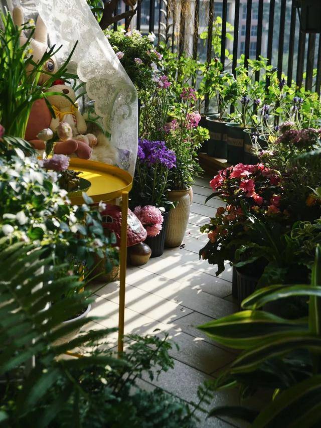 Dành 5 tháng trồng 250 chậu cây cảnh, cô gái tạo cho mình thiên đường trên ban công  - Ảnh 3.