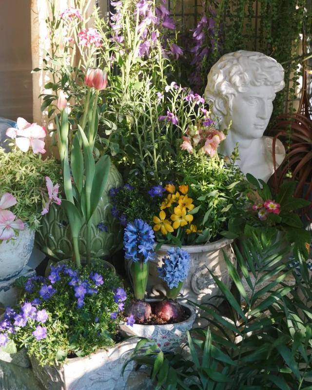 Dành 5 tháng trồng 250 chậu cây cảnh, cô gái tạo cho mình thiên đường trên ban công  - Ảnh 13.