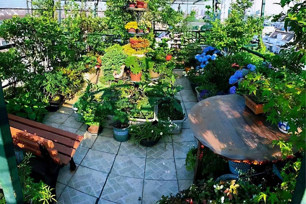 Cách tưới cây cảnh vào mùa hè, ý nghĩa chu trình "khô- ướt" không phải ai cũng biết - Ảnh 5.