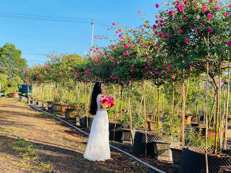 Không thể rời mắt trước vườn hồng đẹp tựa thiên đường của chàng trai Tây Nguyên - Ảnh 12. Không thể rời mắt trước vườn hồng đẹp tựa thiên đường của chàng trai Tây Nguyên - Ảnh 12.