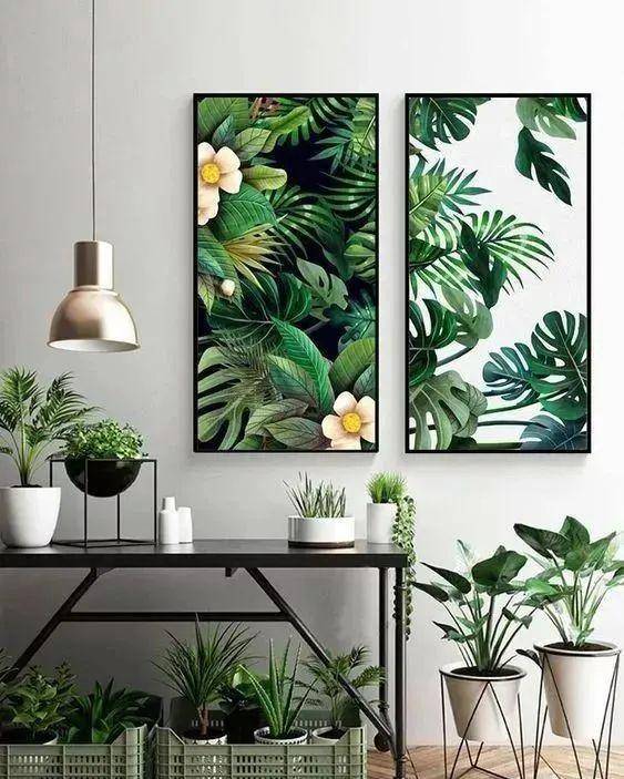 7 cách trồng cây cảnh tốt như rừng trong nhà phố chật chội, chỉ cần có tình yêu sẽ có chỗ cho cây - Ảnh 1.