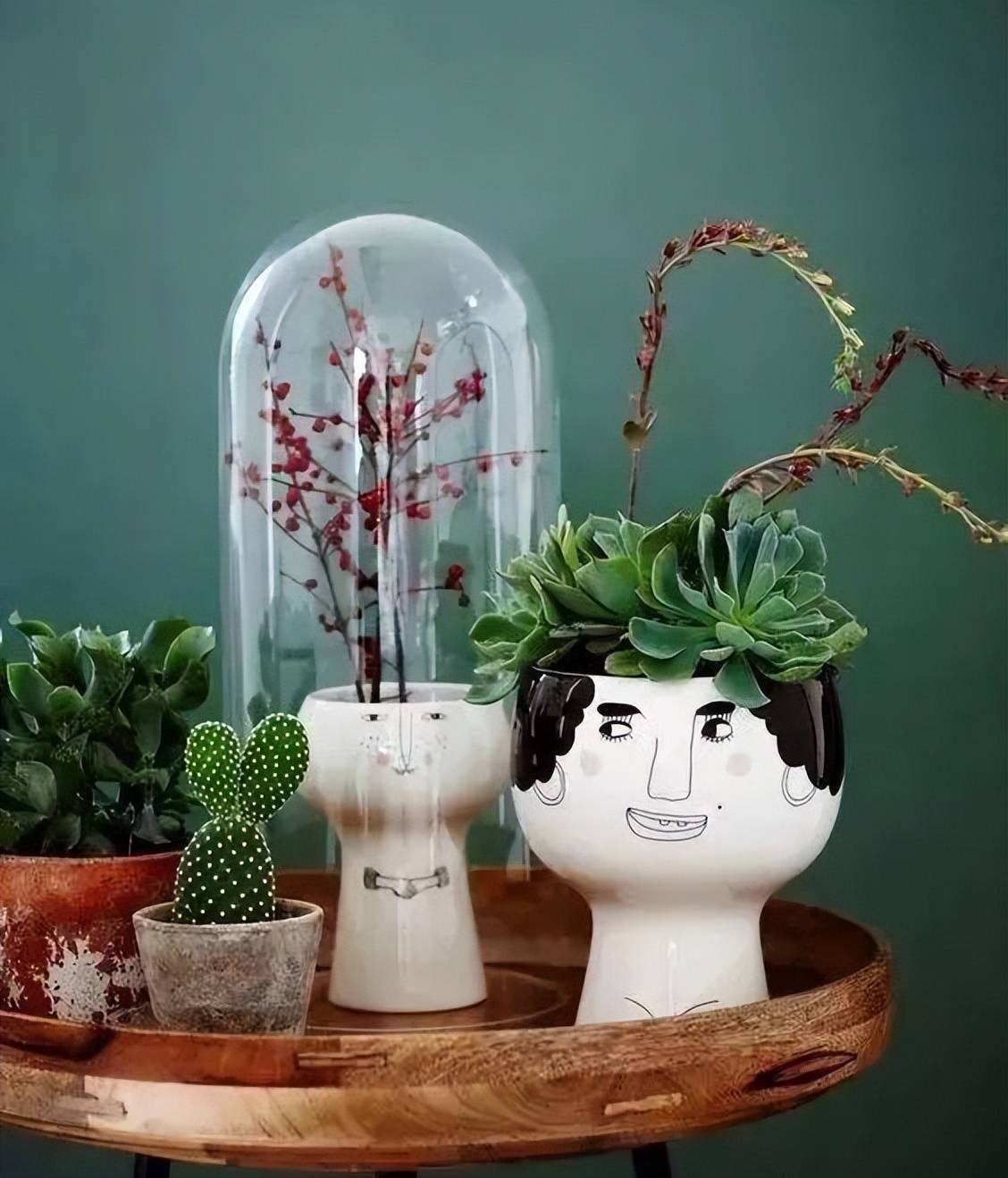 7 cách trồng cây cảnh tốt như rừng trong nhà phố chật chội, chỉ cần có tình yêu sẽ có chỗ cho cây - Ảnh 5.