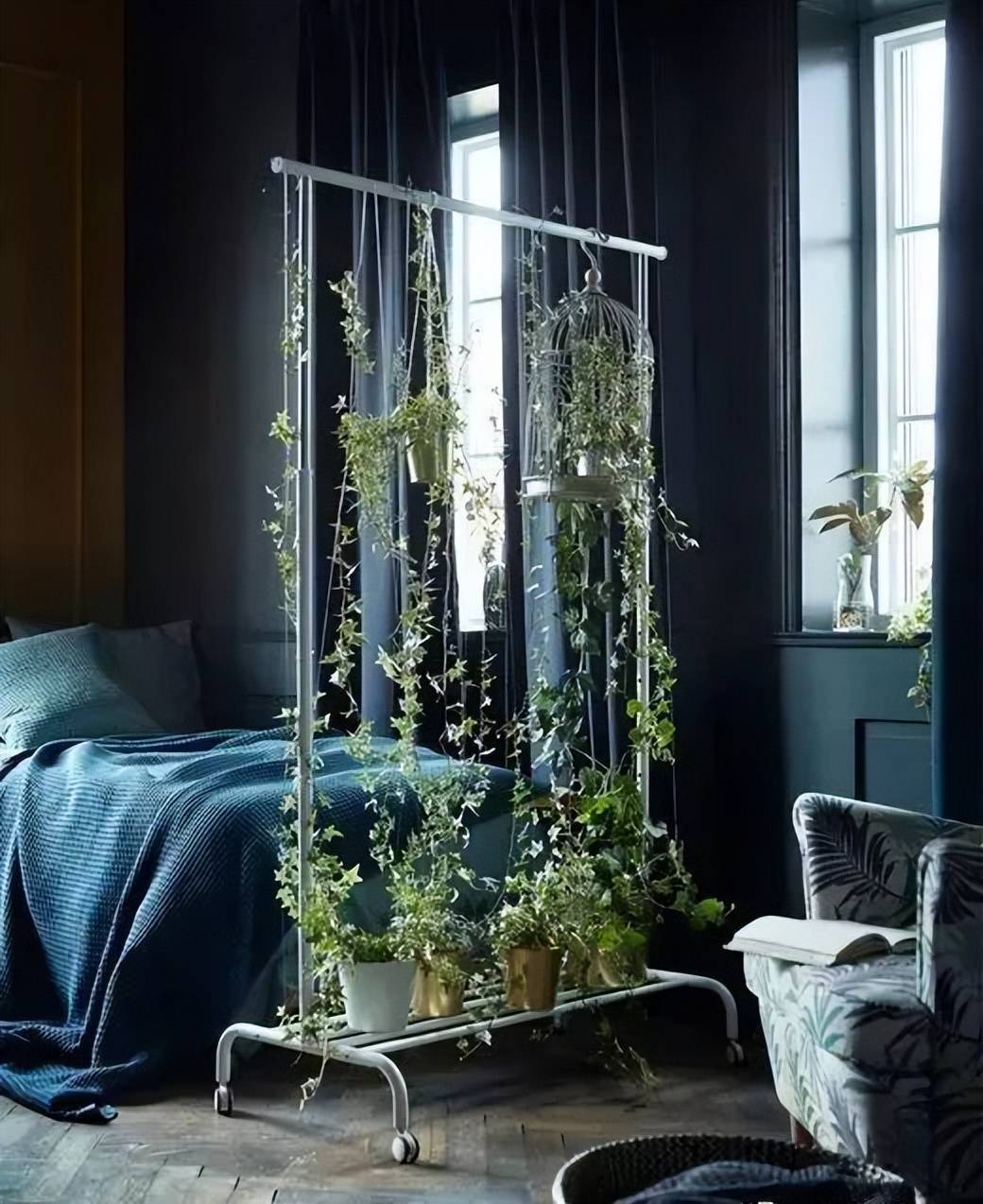 7 cách trồng cây cảnh tốt như rừng trong nhà phố chật chội, chỉ cần có tình yêu sẽ có chỗ cho cây - Ảnh 18.