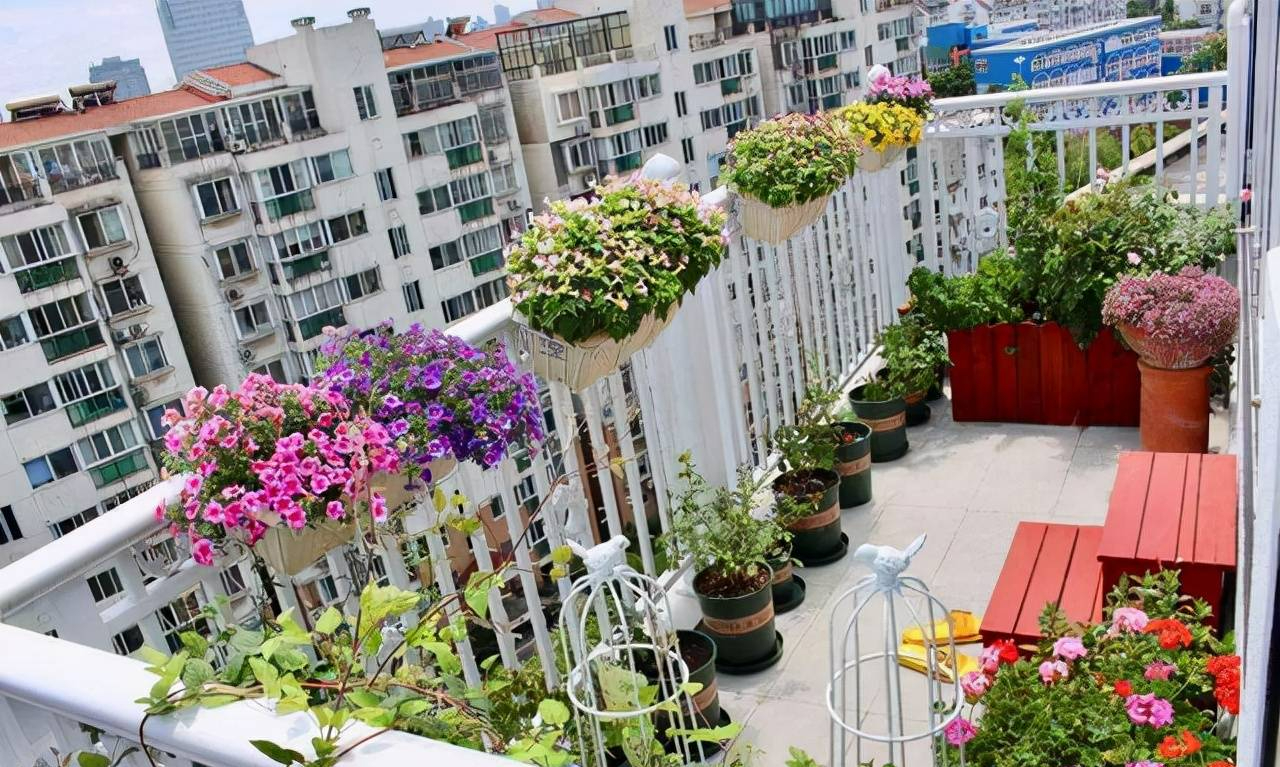 "Thiên đường" tại gia, ban công không chỉ trồng cây cảnh mà có nhiều tác dụng không ngờ - Ảnh 13.