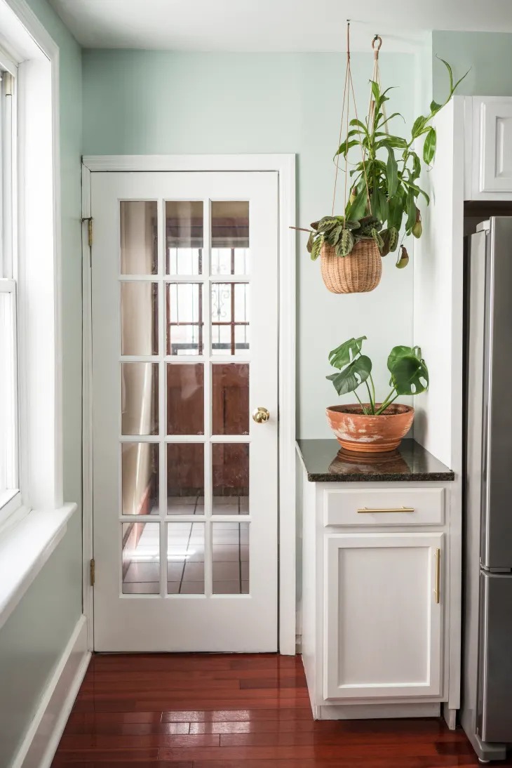 5 lưu ý khi trồng cây cảnh ở phòng bếp, điều thứ 5 khá thú vị để thử  - Ảnh 3.