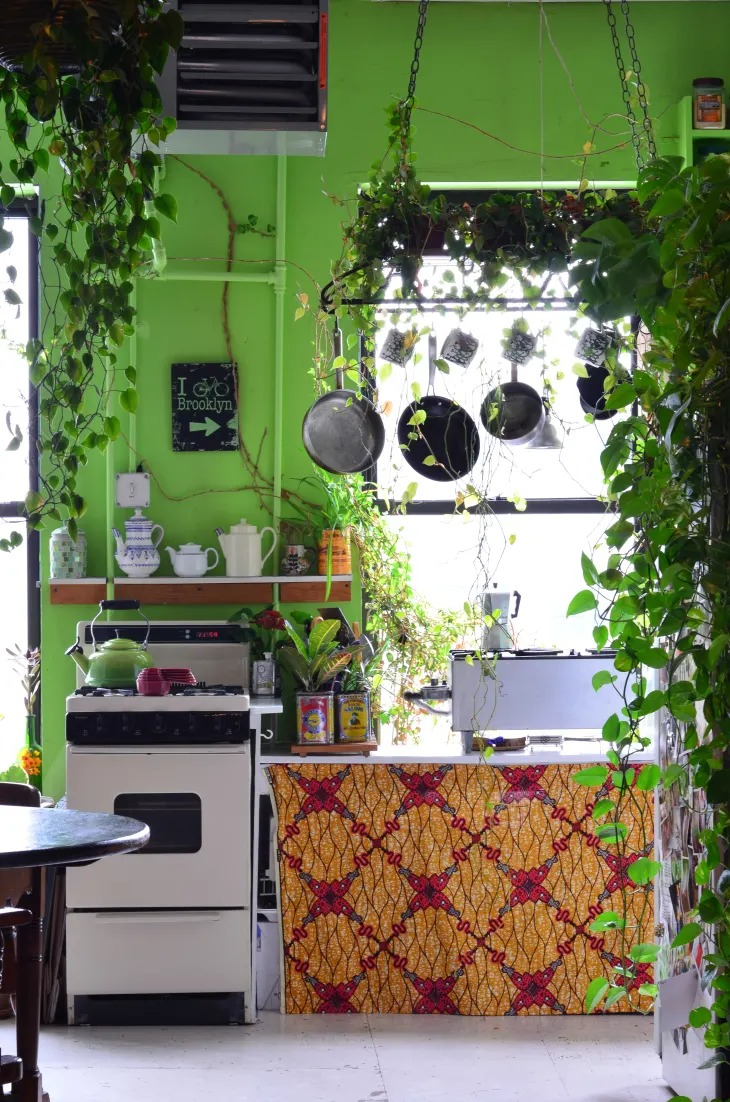 5 lưu ý khi trồng cây cảnh ở phòng bếp, điều thứ 5 khá thú vị để thử  - Ảnh 5.