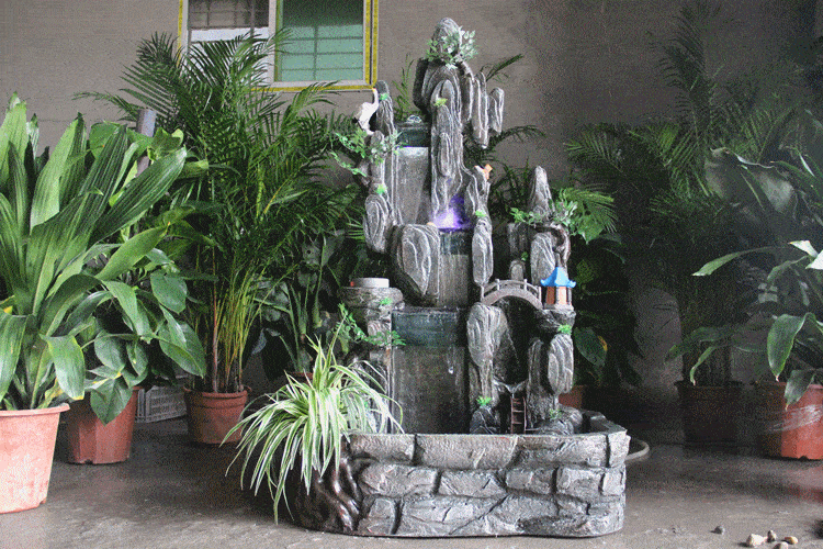 Sốt xuất huyết sợ quá, trồng ngay cây cảnh bắt muỗi cực hiệu quả này - Ảnh 10.