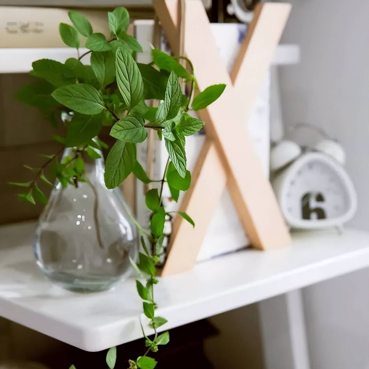 Trồng chậu cây cảnh mini, xinh đẹp từ rác nhà bếp, ai ngờ chứ, bạn hãy thử xem - Ảnh 10. Trồng chậu cây cảnh mini, xinh đẹp từ rác nhà bếp, ai ngờ chứ, bạn hãy thử xem - Ảnh 10.