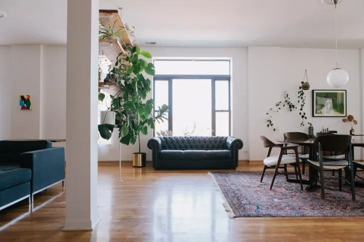 11 Mẹo tạo kiểu cho cây trồng thiên tài mà chúng tôi đã học được từ chuyến tham quan nhà trị liệu căn hộ - Ảnh 2.