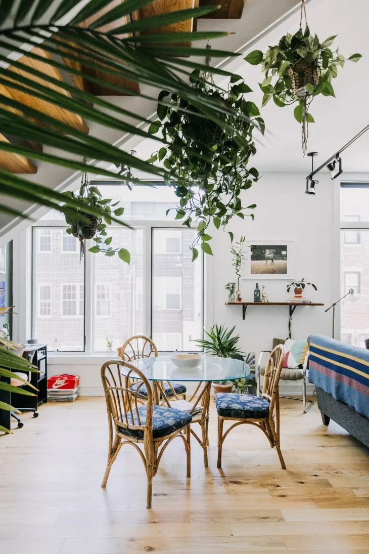 11 Mẹo tạo kiểu cho cây trồng thiên tài mà chúng tôi đã học được từ chuyến tham quan nhà trị liệu căn hộ - Ảnh 4.