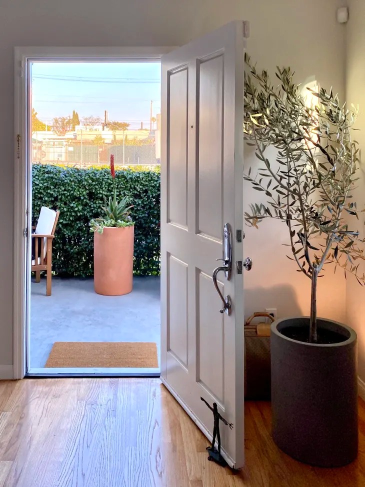 11 Mẹo tạo kiểu cho cây trồng thiên tài mà chúng tôi đã học được từ chuyến tham quan nhà trị liệu căn hộ - Ảnh 10.