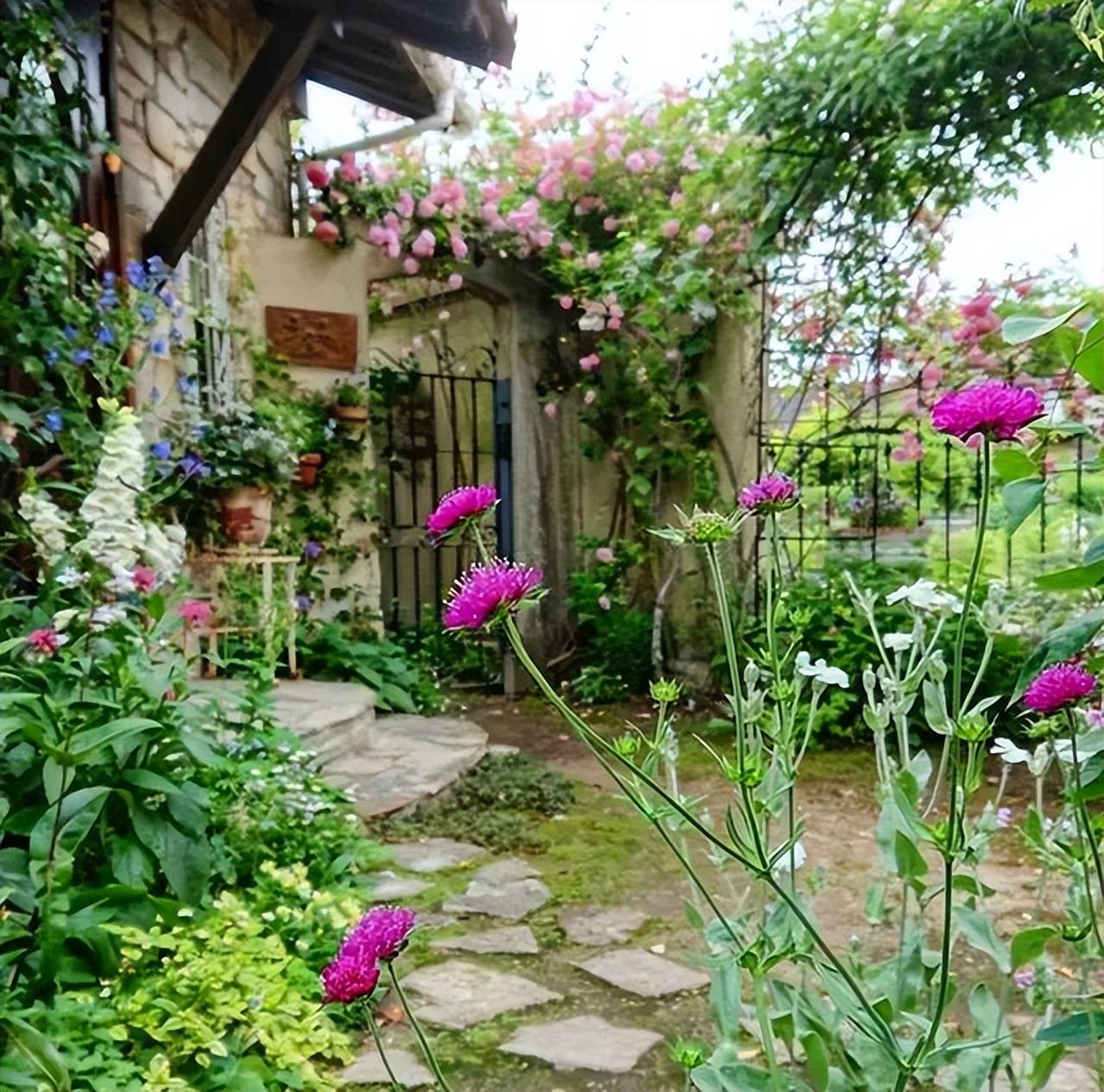 Trồng cây cảnh không chỉ để ngắm, 4 lợi ích của việc trồng cây cảnh chưa chắc bạn đã biết - Ảnh 3.